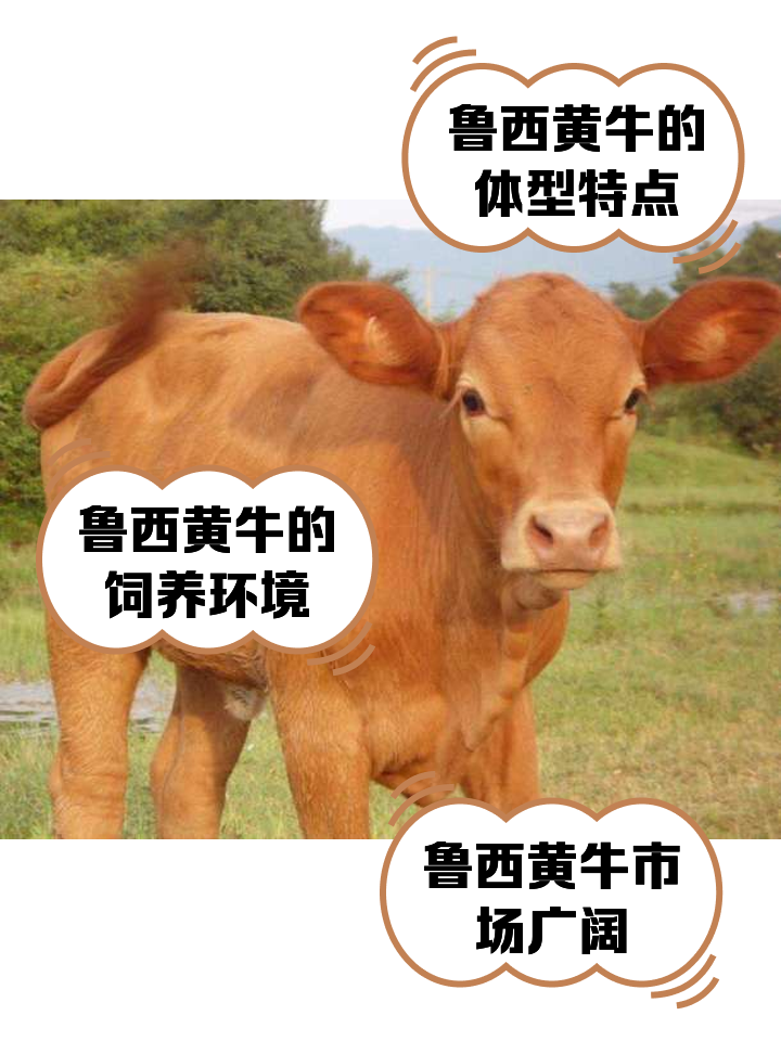 衡阳最新医保取现黄牛方法分析(最方便真实的衡阳医保取现黄牛怎么取方法)